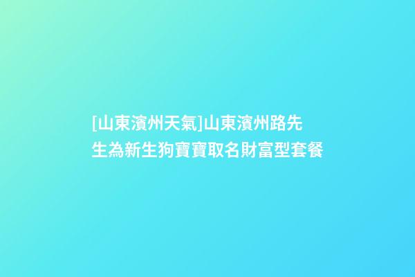 [山東濱州天氣]山東濱州路先生為新生狗寶寶取名財富型套餐-第1張-公司起名-玄機派